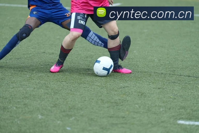 爱游戏app中国官网发展历程